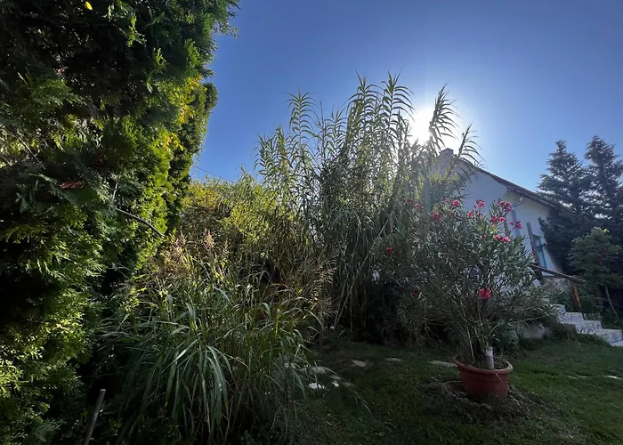 Angel Mansion * Szentantalfa